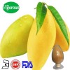 African Mango Extract Powder