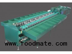 Double Line Fruit Sorting Machine