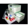 Ractopamine ELISA Test Kit