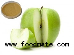 100% Pure Quality Apple Powder for Cooking Baking Dessert