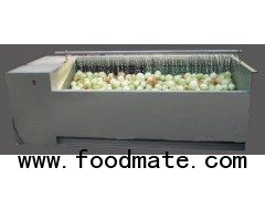 Brush washing and peeling machine