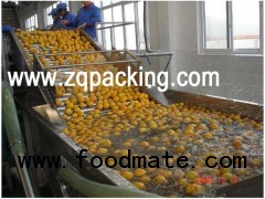 Auotmatic fruit juice making machine ,Orange juice processing machine