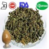 Natural 40% 80% 98% gynostemma extract