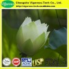 Natural extract 10 1 lotus leaf extract powder