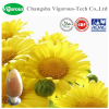 Natural plant 12:1 chrysanthemum extract