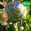 Natural 12:1 Artichoke extract