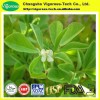 50% Fenugreek saponins fenugreek extract