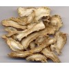 Angelica Root Extract Powder