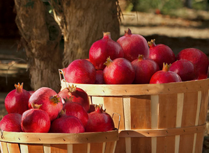 Pomegranate