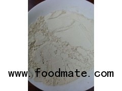 Defatted Soy Flour Untoasted