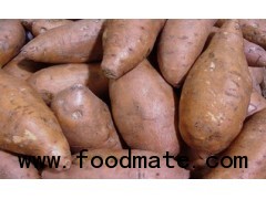 Sweet Potato