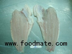 Frozen  Pangasius Fillets