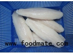 Frozen Pangasius Fillets