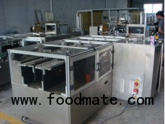 LX-100 Cookies Box Packaging Machine/Biscuits Box Packing Machine