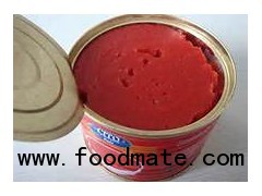 china manufacturer of tomato paste canned in tins