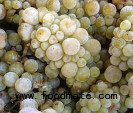 frozen grapes