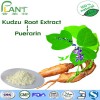 100% Natural Pueraria extract isoflavones/puerarin