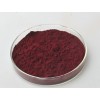 cranberry extract powder-95%proanthocyanidins25% Anthocyanidins