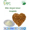 Top quality&100% natura apricot kernels extract- amygdalin 98%, 99% vitamin B17 29883-15-6