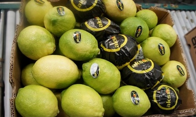 Turkish lemon