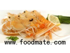 NORWAY LOBSTER