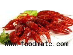 CRAWFISH