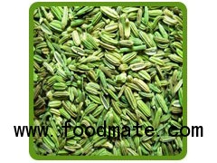 Fenel Seeds (Badishep)