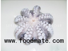 Frozen Octopus Flower