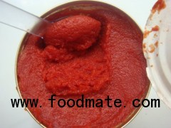 canned tomato paste