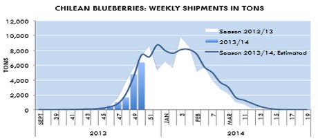 Chilean blueberry export