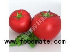 fresh tomato