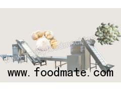 Garlic Peeling Production Line