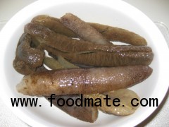 Sea Cucumbers