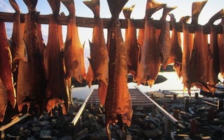 Norwegian seafood