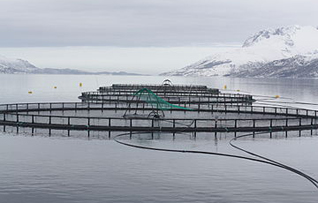 aquaculture  