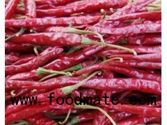 Red Chillies