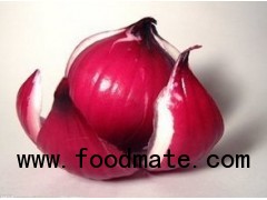 Red Onion