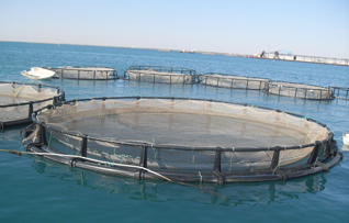  aquaculture