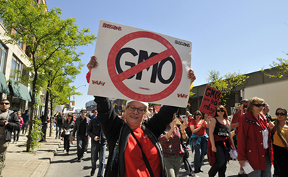 GMO