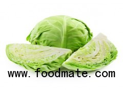 cabbage