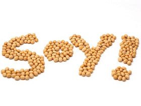 soymeal 