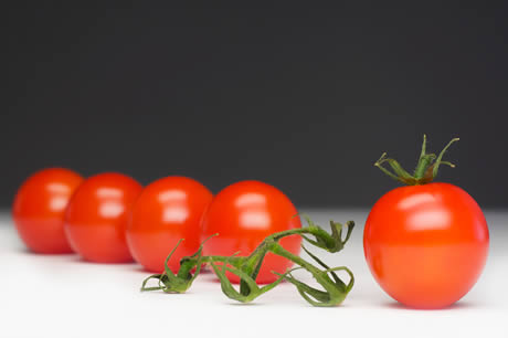 cherry tomato