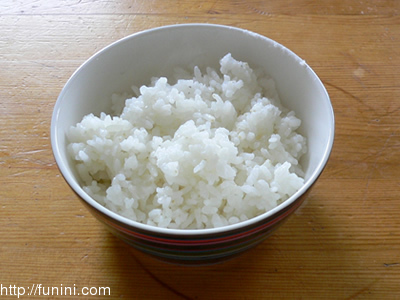 Rice