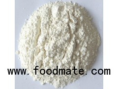 Dry Garlic Powder with High Quality