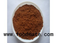 Aniseed Powder with High Quality