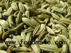 Grade A Fennel Seeds Available For Sale