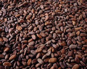 cocoa beans