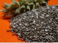 Chia seed gel holds great potential in food product development, study