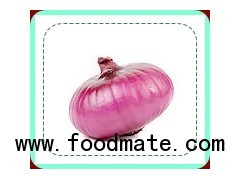 FRESH RED ONION