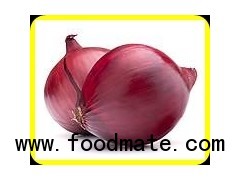 ORGANIC ONION